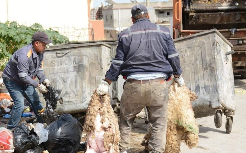 بنزرت : رفع 700 طن من بقايا  الاضاحي
